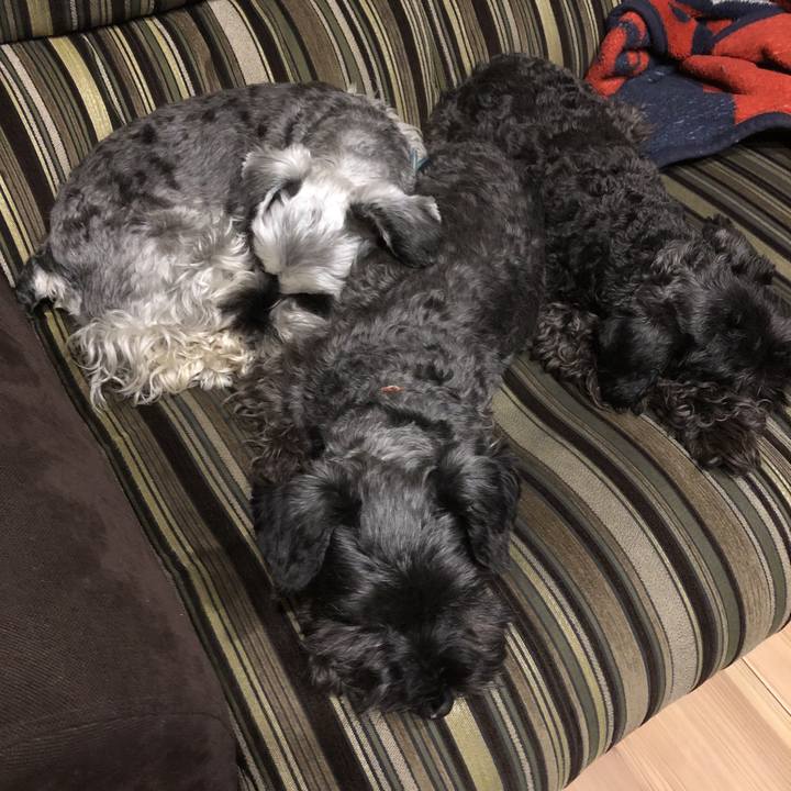 1638f000 d674 4eeb a522 6ccd64cb6b2e 1583145793707