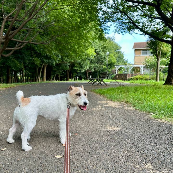 163903a0 53e0 4a65 98d6 e74c45e73d7e 1753087427606