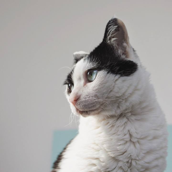 163916e5 be98 48cc 84d8 7e15e694dba9 1646105373153