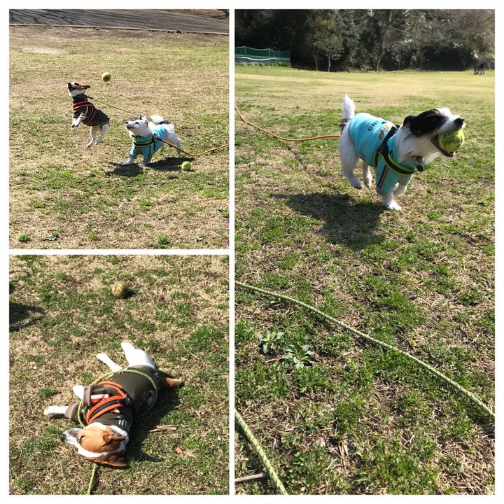 16393e80 ac52 4707 979a 4d6554eba0df 1520737567618