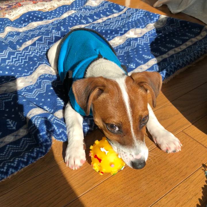 163953be 8c80 4d6f 80cb 21c7219c4389 1517741220086