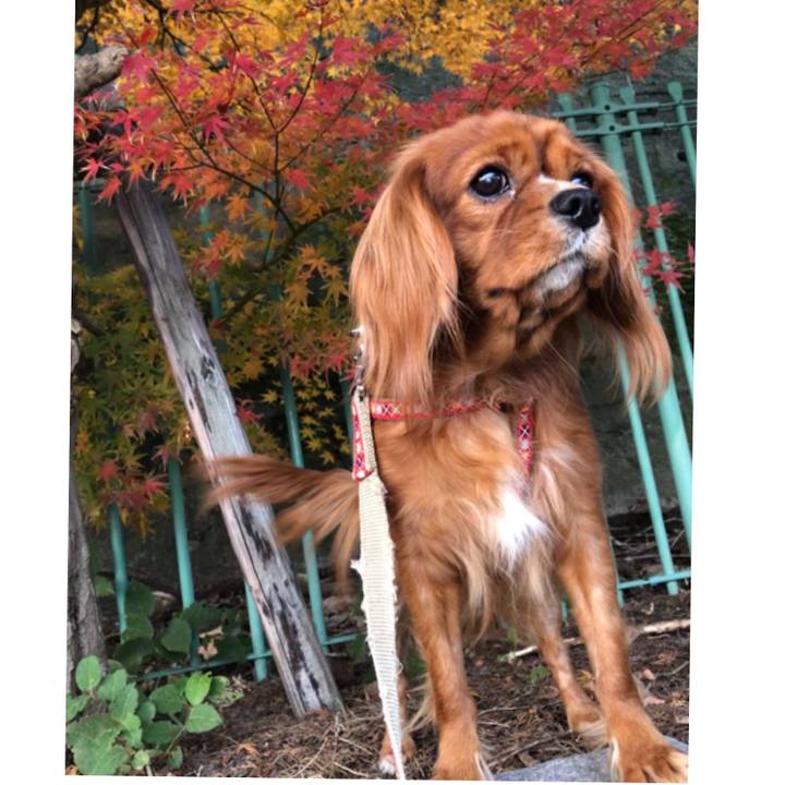 16398997 15ed 45e1 817d 4865b8ef8c04 1543789464772