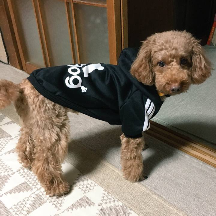 16399308 fd7f 4c34 ae84 9018ce66e280 1508748109106