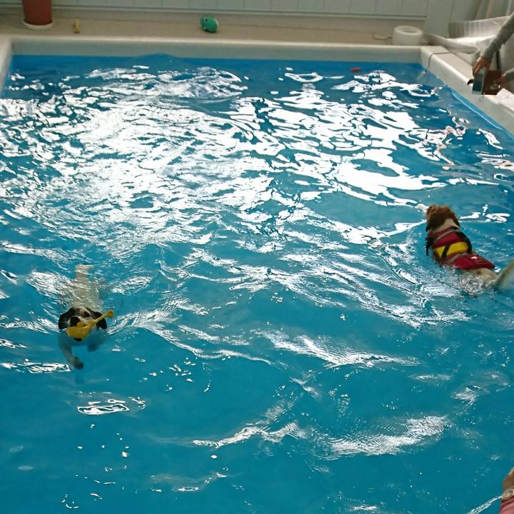 1639b910 90f2 494c 8a53 78b1013e15e6 1616388037369