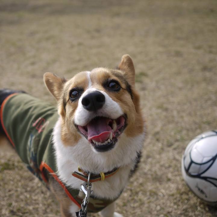 1639dc35 4bfb 423f b5df 99a1068b55f5 1763304962694