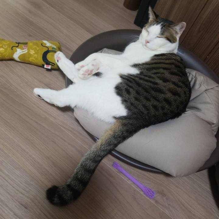 1639ea1c ed5d 43be 988c ca6fdfc0d921 1573076836973