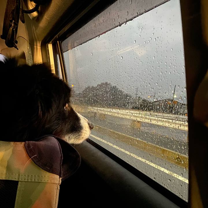 163a1509 ca53 4e77 810f 5ed09c532cbf 1639864863881