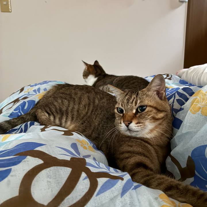 163a201e a00c 4053 9c03 3a42dd5aa090 1759708243563