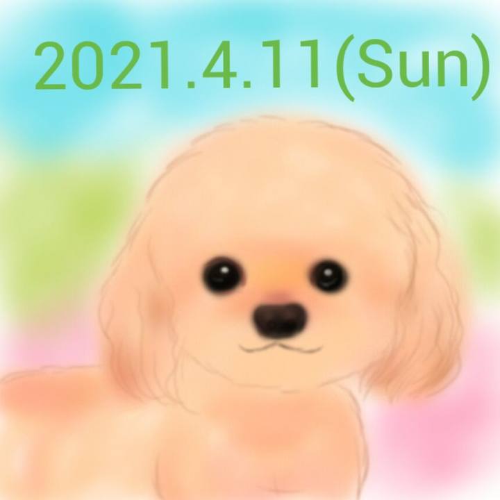 163a21ce cad2 4306 b346 49a8b9b8dbe4 1618140906758