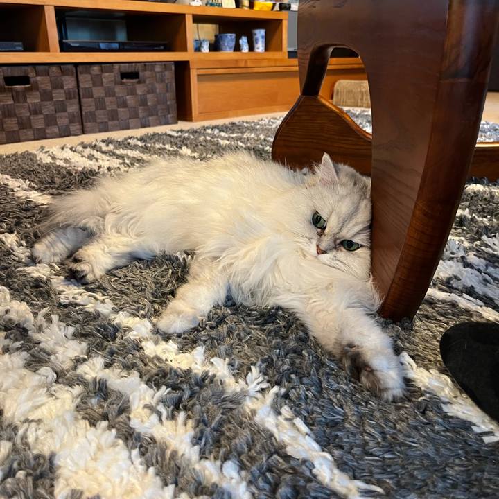 163a2f2a e951 4e21 8a81 42e696782d13 1678495743276