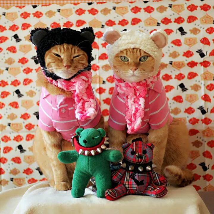 163a42ac 4139 4c9f bae4 516754db74ad 1514352724175