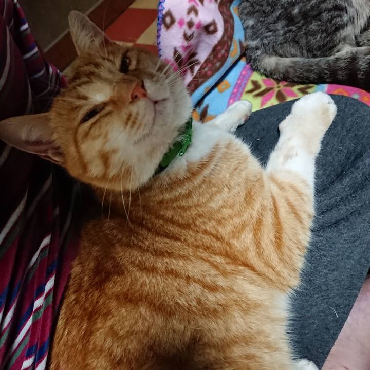 163bb97c c97c 4ee1 a6d9 8abfe957608f 1585309186016