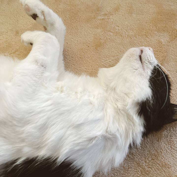 163bf072 ccb0 49ba b0bd 4f84dc4b7349 1645136819929