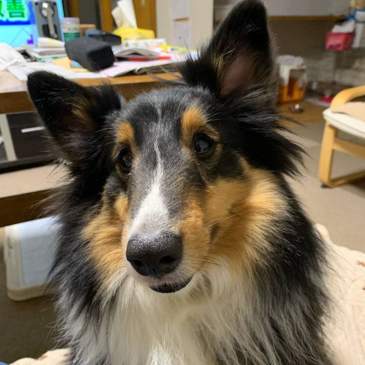 163c5ae1 462e 47df 95f2 4c46df9a9530 1583276624105