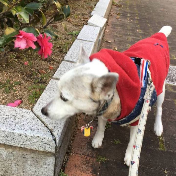 163c70a4 07d7 4497 8830 4bed9ef75e56 1770158027801