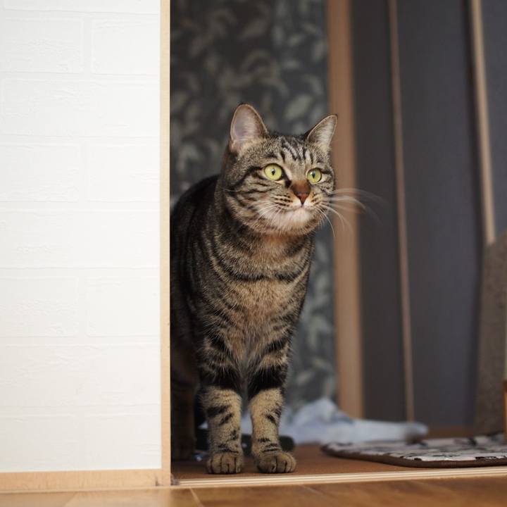 163c8173 d8d2 4560 b2db a8f815cbdb73 1550494491855