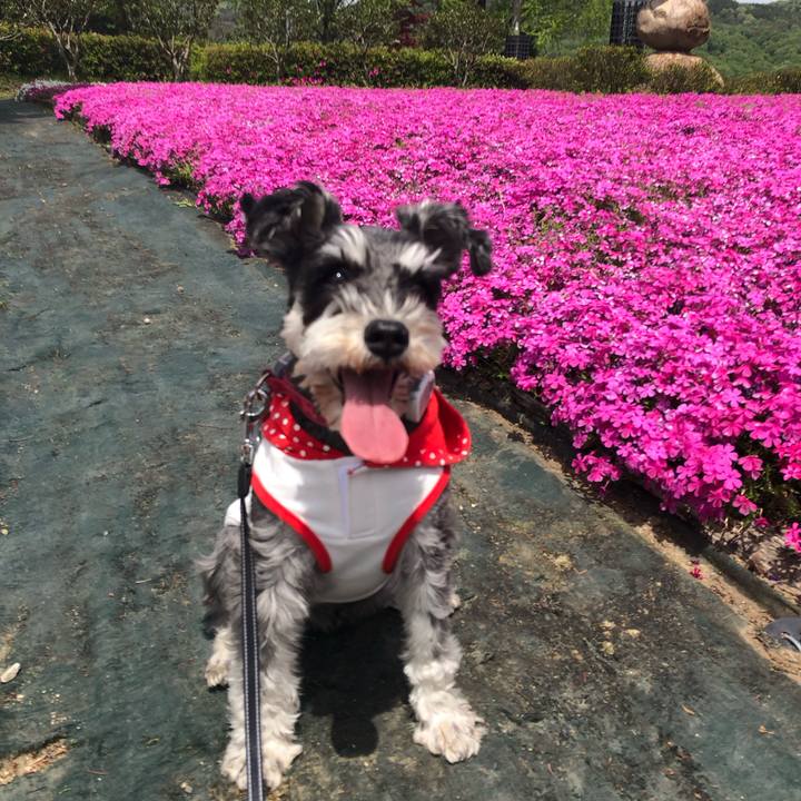 163cbfd4 7e2d 41b7 9173 8e38ac292ec1 1713586991193