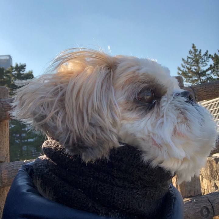 163cc838 dd99 447f bcc0 eeaf1399ccff 1547761374562