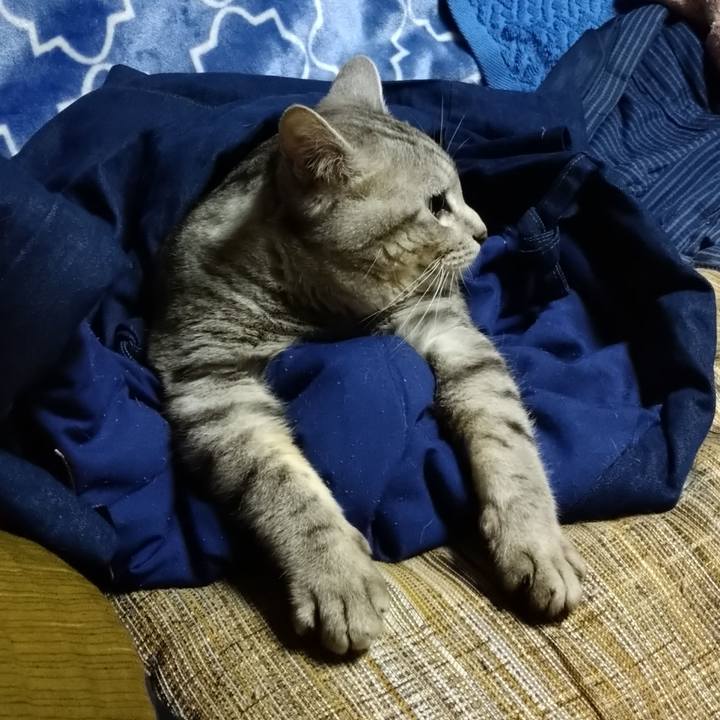 163cf73b 9fdf 4fe1 a194 60825aa85ab6 1680266919111