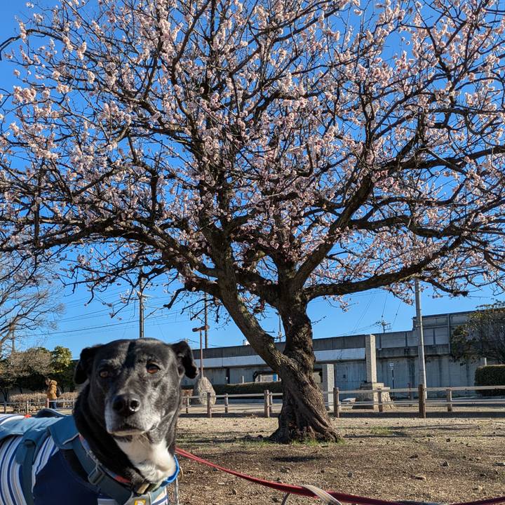 163d23ed b1ee 497f 9d1b 6649b592984e 1741307722589