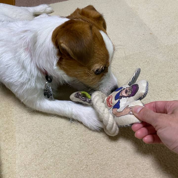 163d25a5 5e89 4dc7 981a 293fddc26871 1624278308490