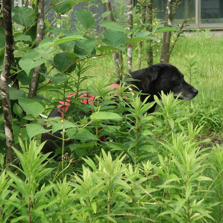 163d2831 5a80 477a b87e 4db06aee85ee 1686618548258