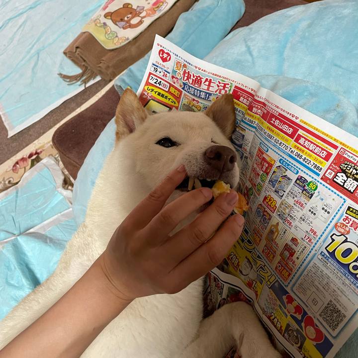 163d48dd 5344 45b9 aa9f 9d1a22d1a077 1658524410563