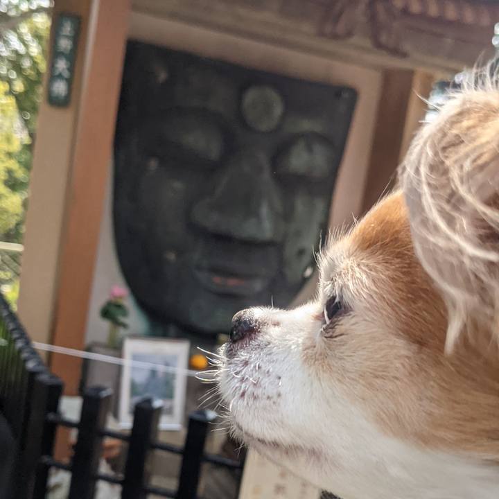 163d8e52 b89e 452d 83d1 f7eb37f55814 1616832582271