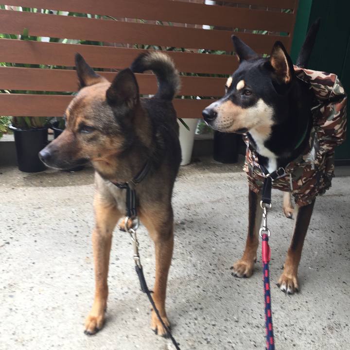 163da943 cac0 4a97 9433 50c01bf8a69d 1527040483542