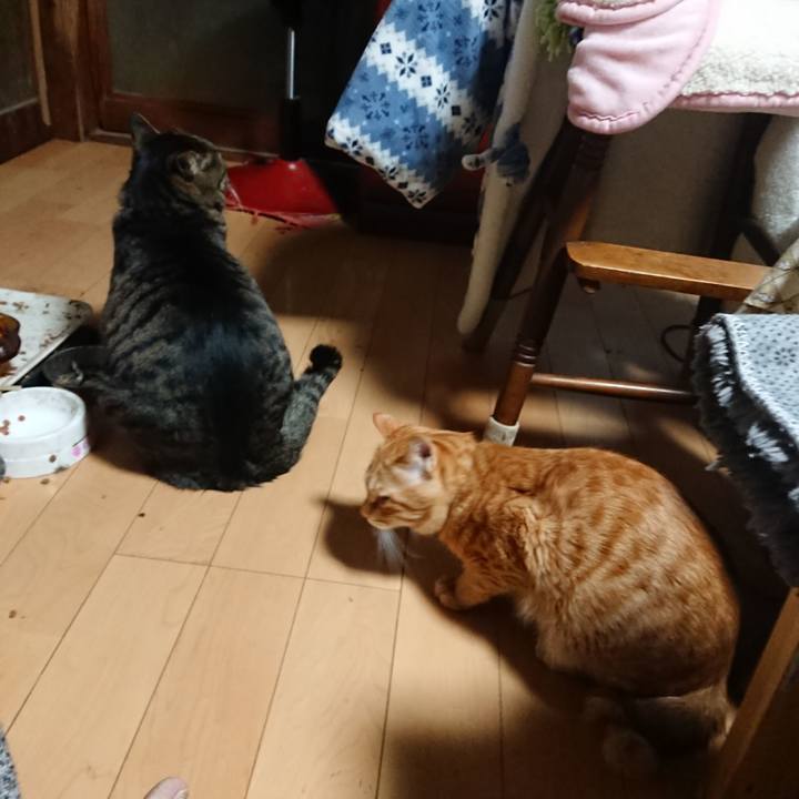 163daa0e 9bbf 4212 b3f0 b14fab8955a0 1644441615119