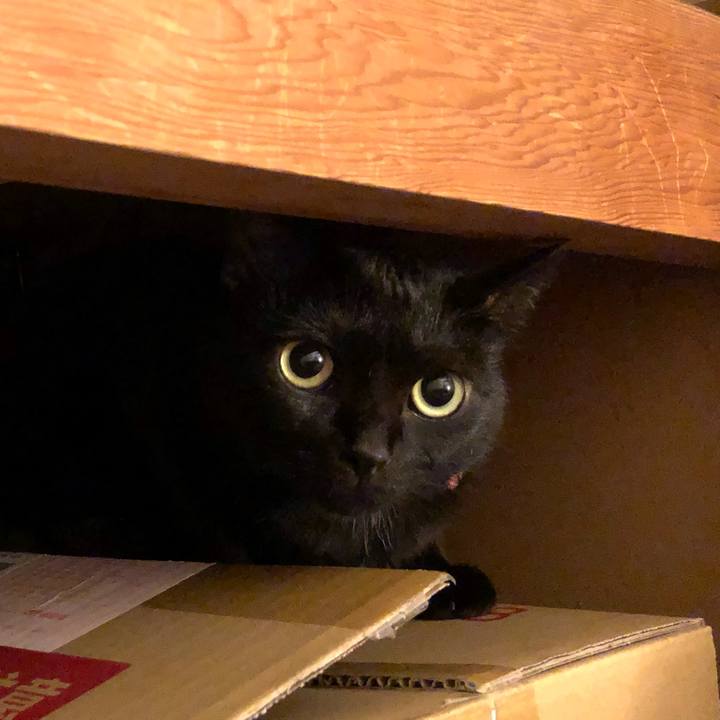 163db656 f9bb 4e8b 82c3 37b592e732c7 1565355499641