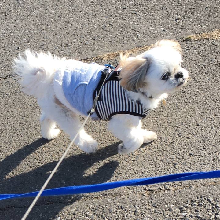 163de3ae a060 406f ae45 a861dddd1849 1608442496312