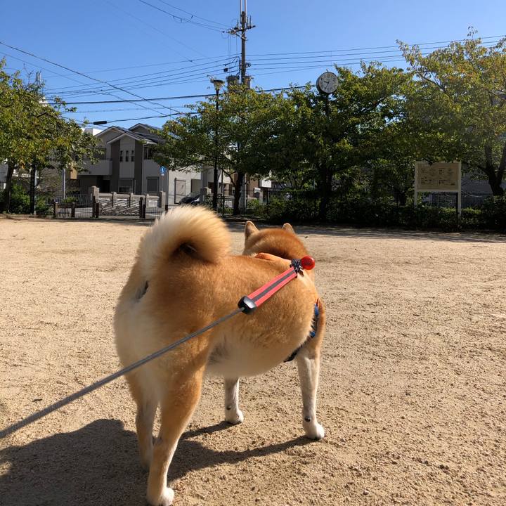 163e09a4 abbc 4244 a8d1 5555ca4f3522 1571198885197