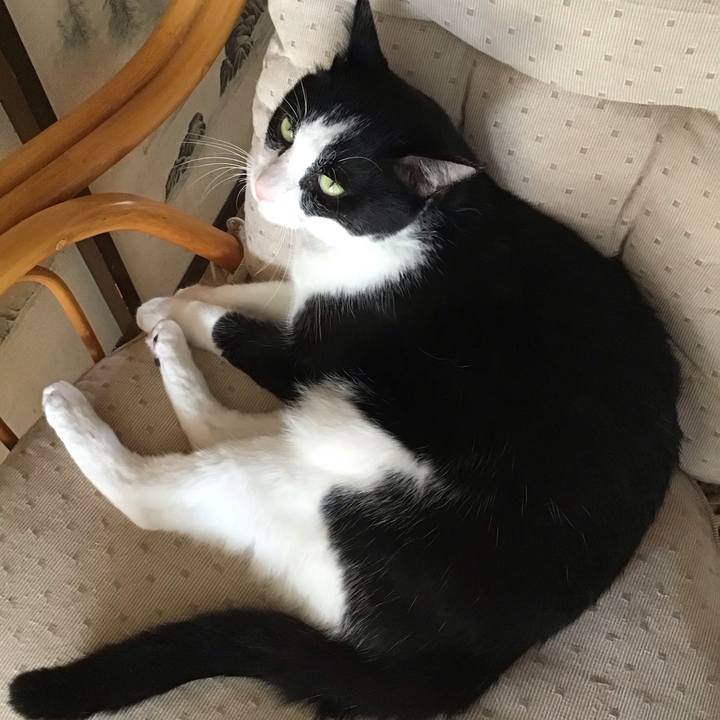 163e46fd 6685 4449 9c8e 9e06edd20bb5 1757411987785