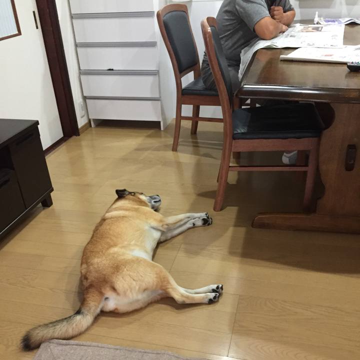 163ea285 99a7 485f b331 36b72bc2bb2f 1535414809220