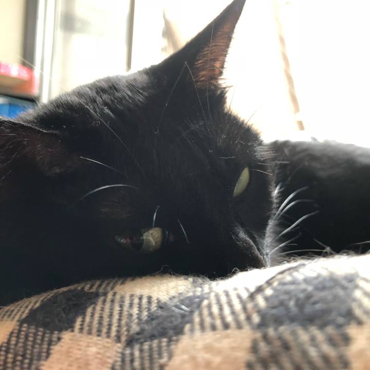 163ee144 57fd 4292 a759 30cc3ce5d3c4 1535768390716