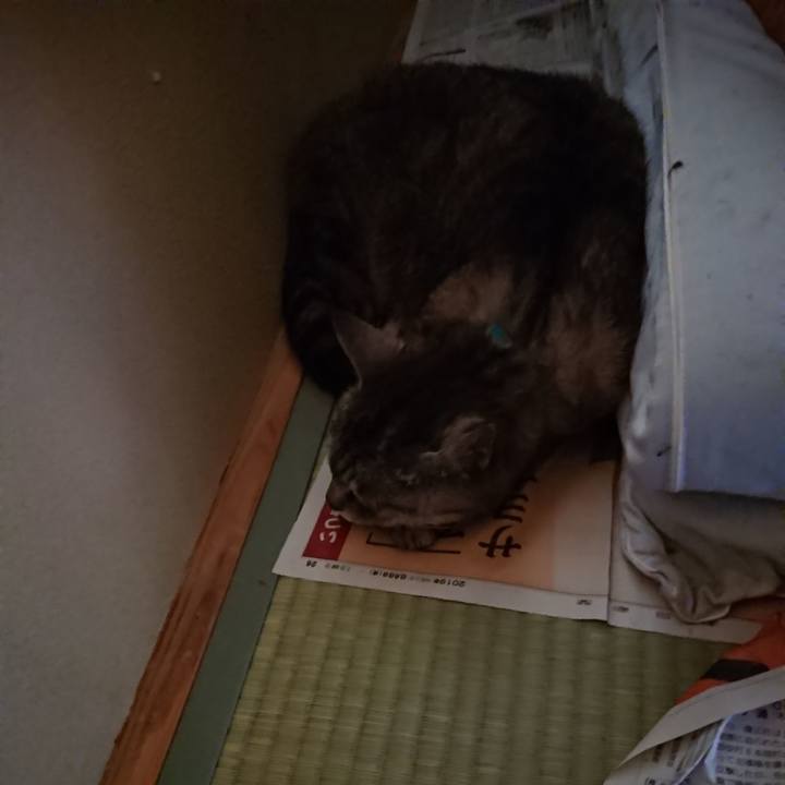 163ee88a c7a2 4be4 9a32 f5027e0d7c19 1565581659754