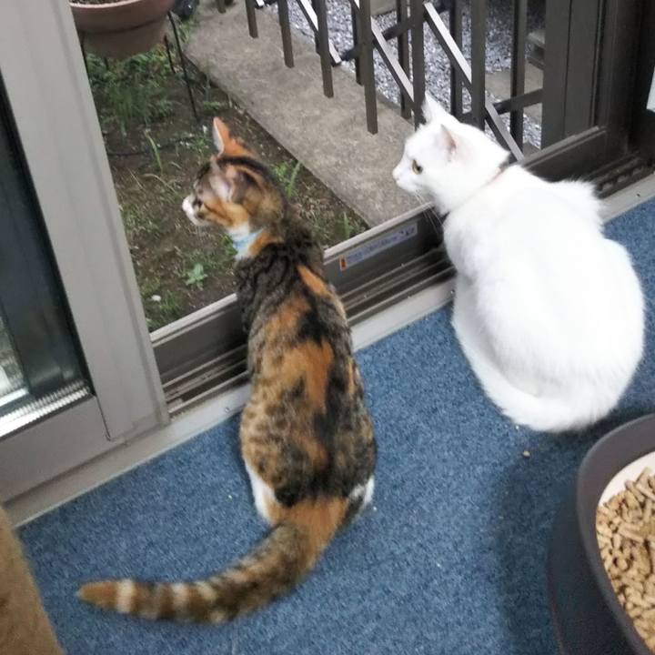 163ee981 837f 4caa bbea 79df232155c1 1628716600817