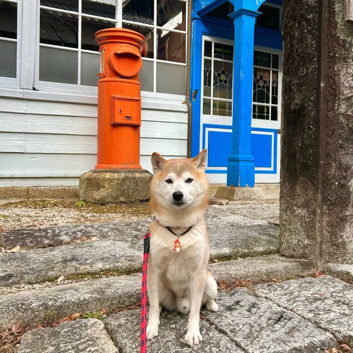 163f5edb 41e0 4f33 b6e4 03a564a2ec0e 1735556404939