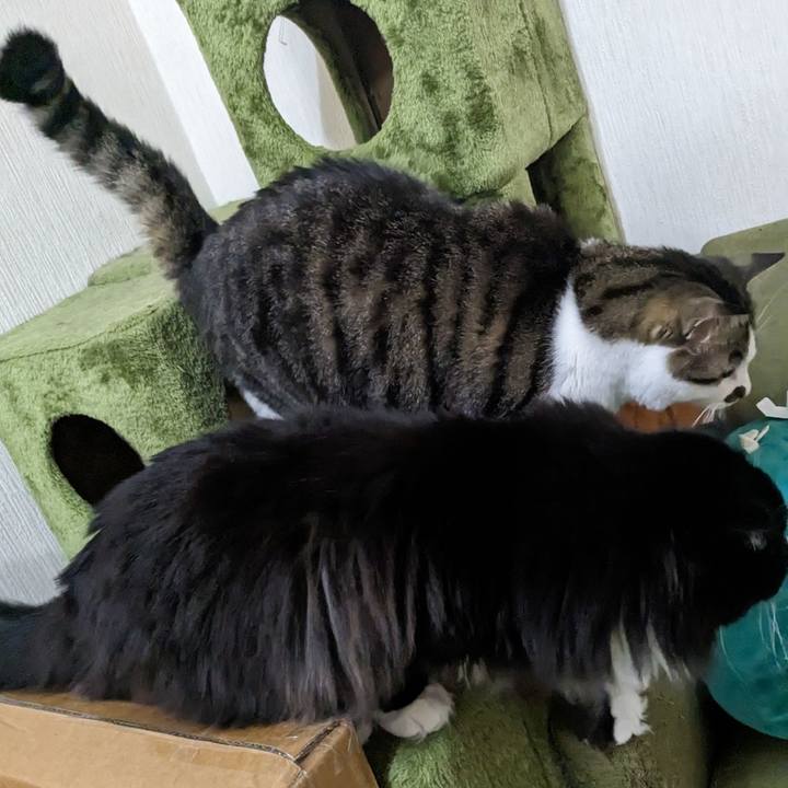 163f613c 1c88 48a4 8896 5381f114f491 1684669477863