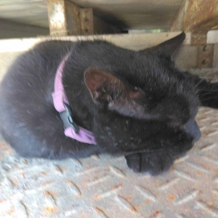 163f7bfa 2b32 432b a8d7 d49e3b696de0 1726626308632