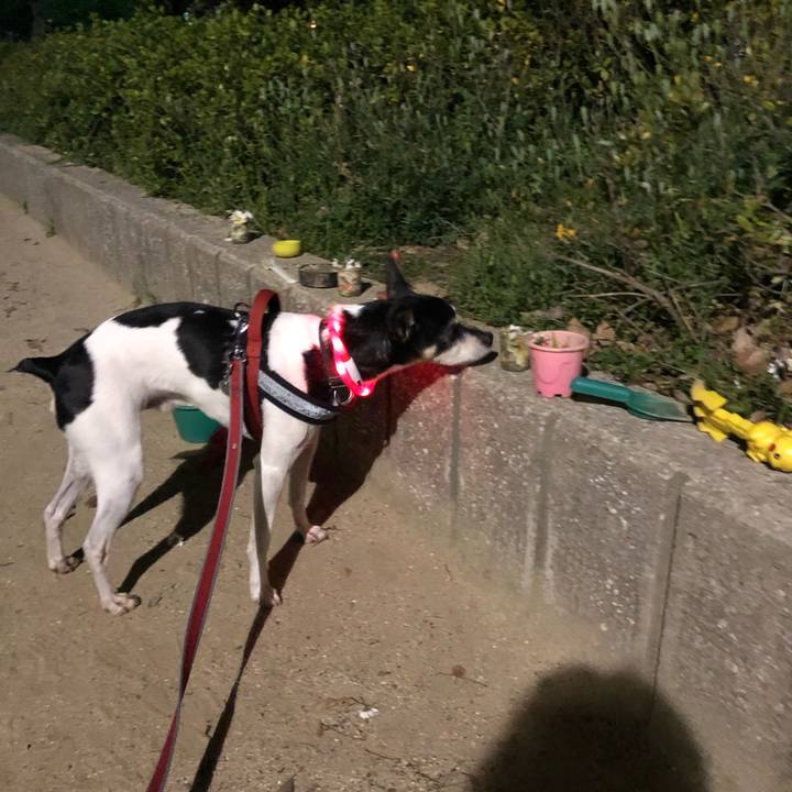 163f827f f83a 4154 ac99 9b6d5ca43585 1557273778141