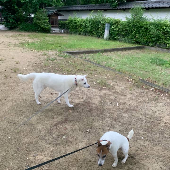 163fc33c 1985 4a28 afc7 f07819142869 1559477681057