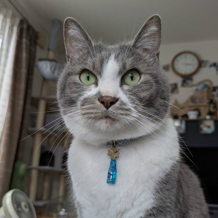 163ff45e 4335 4a07 906b 8bfa71763c2a 1748770481063