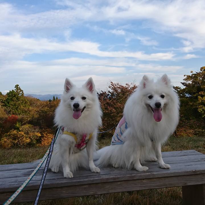 164008ac aa17 4523 ad9d 32f9e7fec3e0 1604214737772