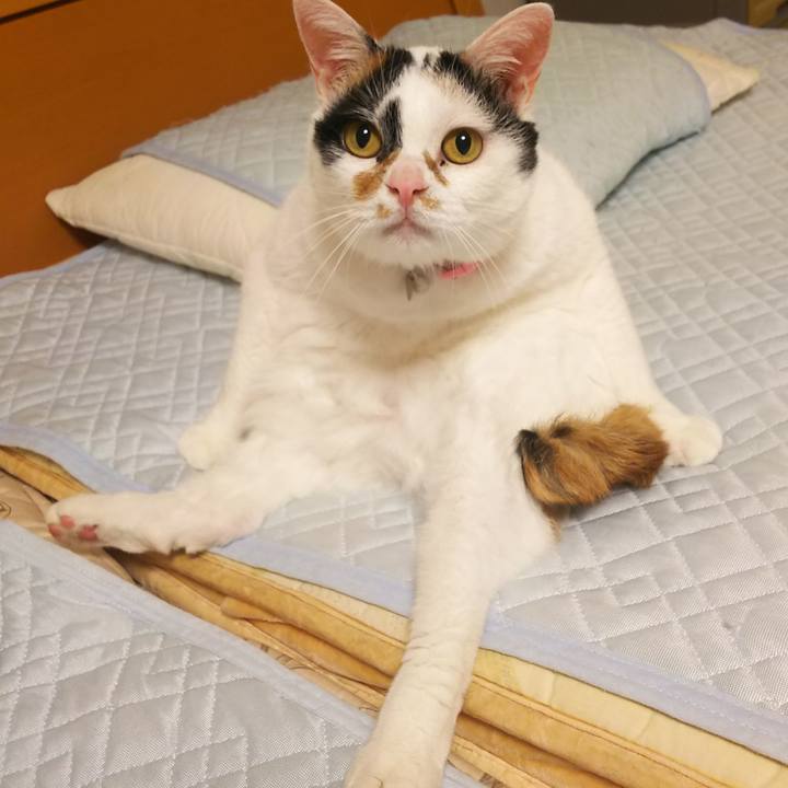 16403180 31f2 46e8 99cf 58e7107bddab 1564410597523