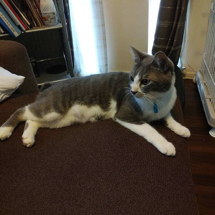 16403dd5 384c 41ff 8a5e 50eaeaadc874 1594708799267