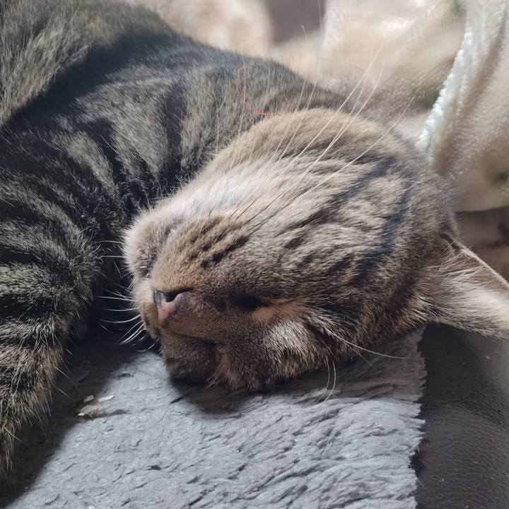 1640672d 0d95 45be a231 075e10e18f4c 1672536811878