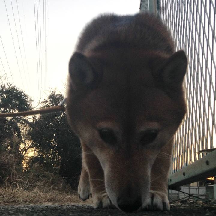 16406ef5 1a84 4d4e b56b ad55d5e3067c 1513583866037