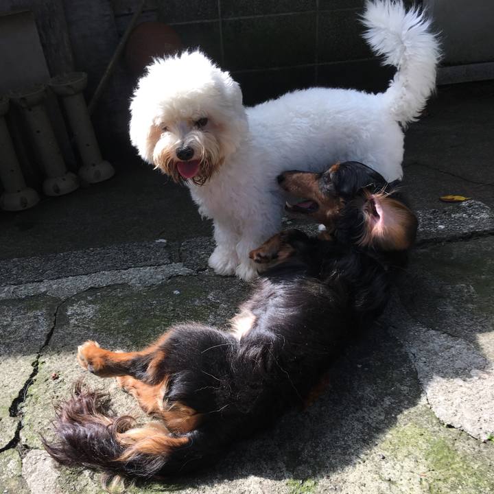 16407ce5 b120 479d 84b5 9b74d1d794fe 1537266592748